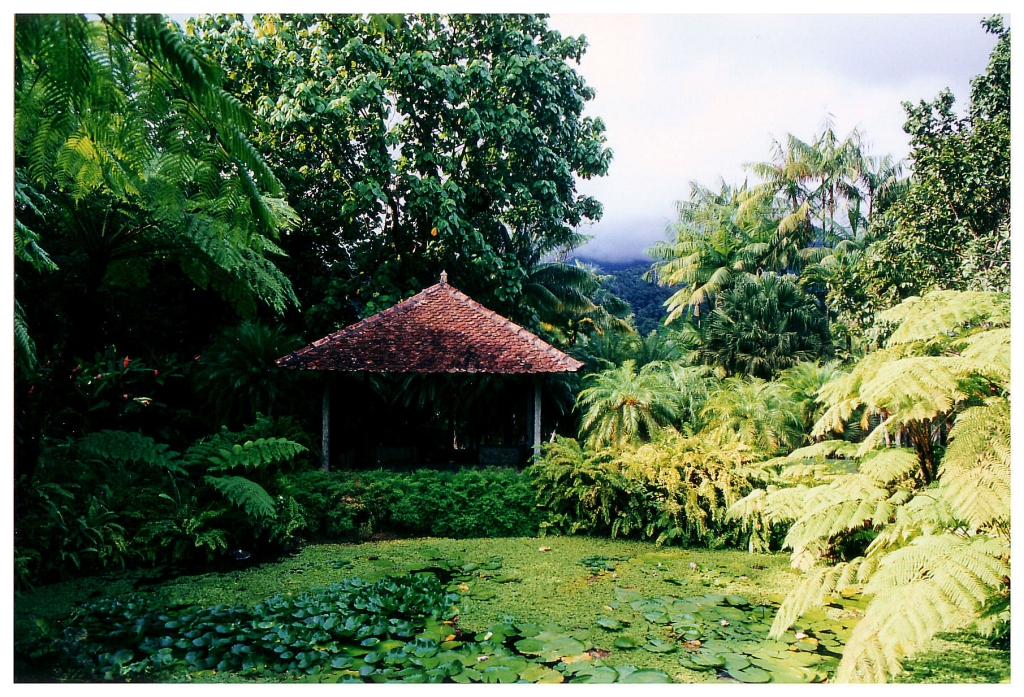 06 - Jardin De Balata (2).jpg